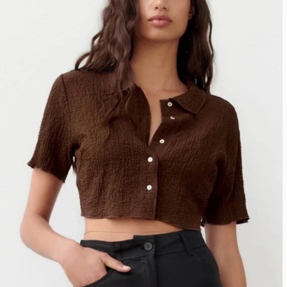 Zara Brown Crop Top